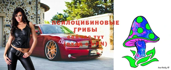 мдпв Балахна