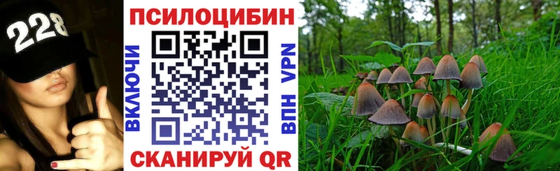 Галлюциногенные грибы ЛСД  ссылка на мегу ссылки  Усть-Катав 